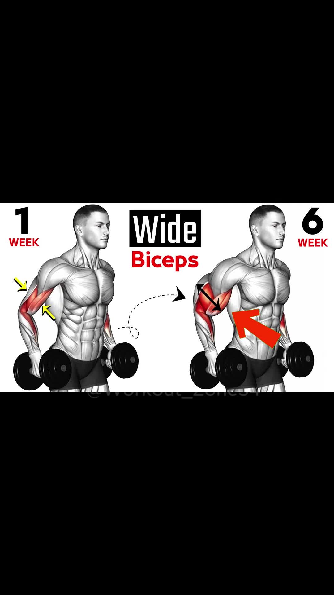@workout_zone34