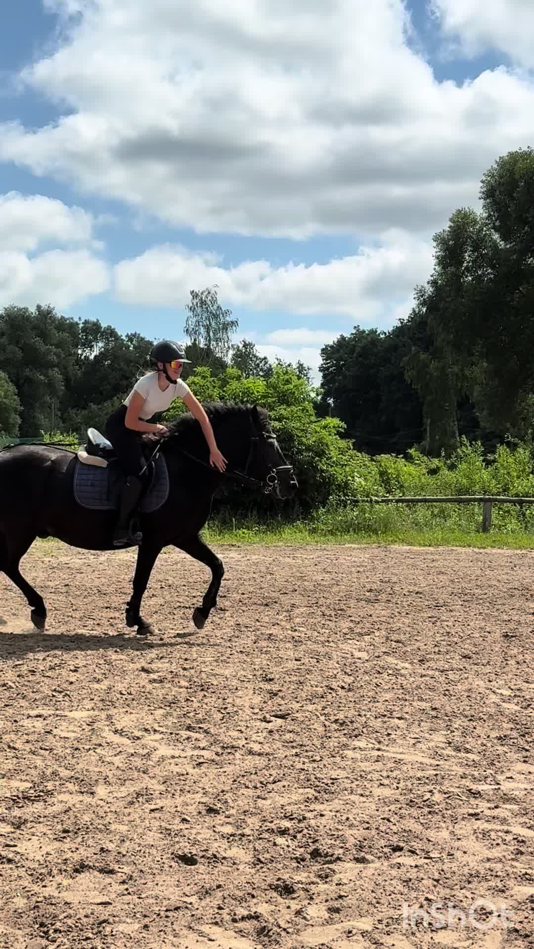 @💋🐴