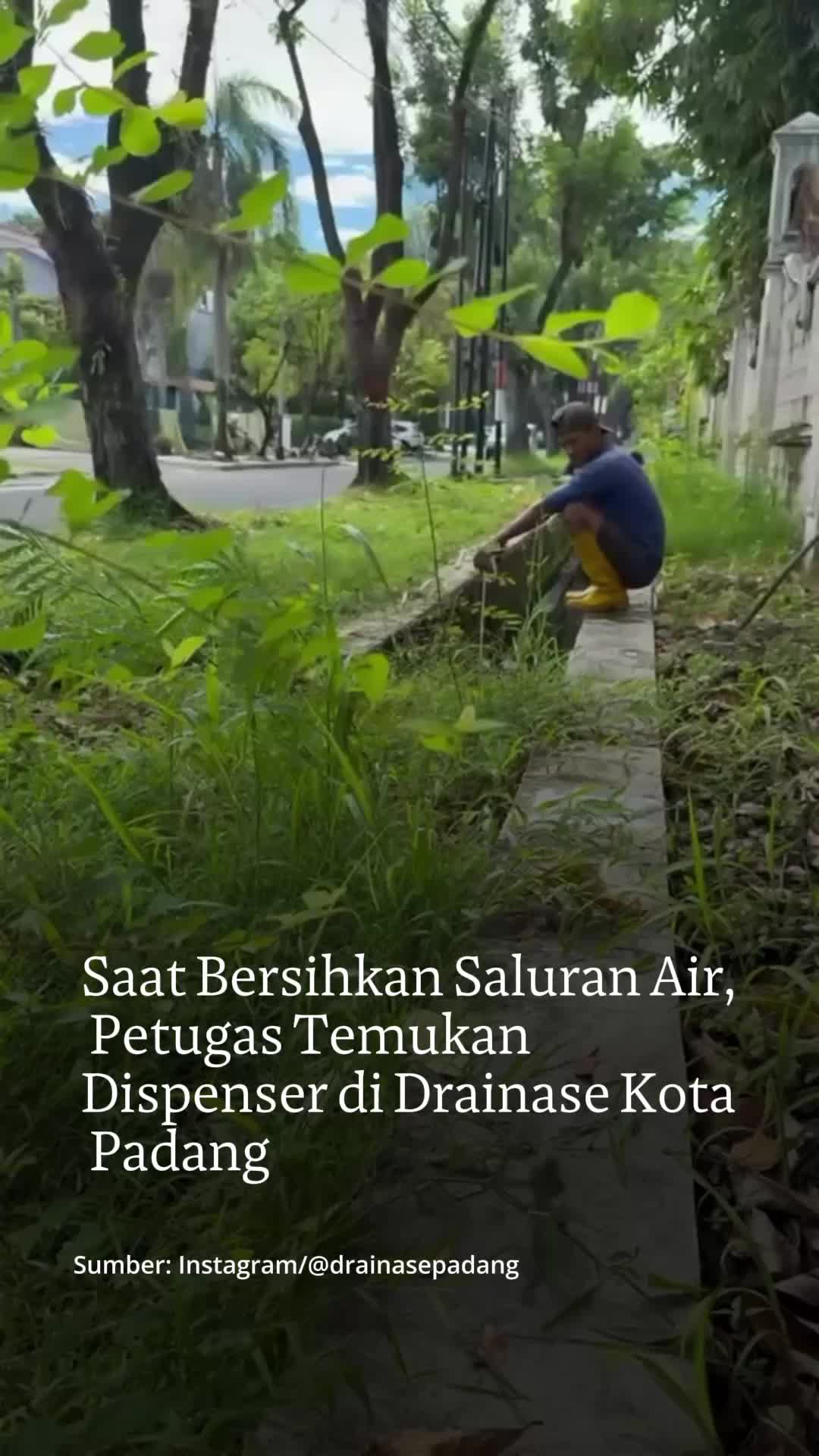 @mongabayindonesia
