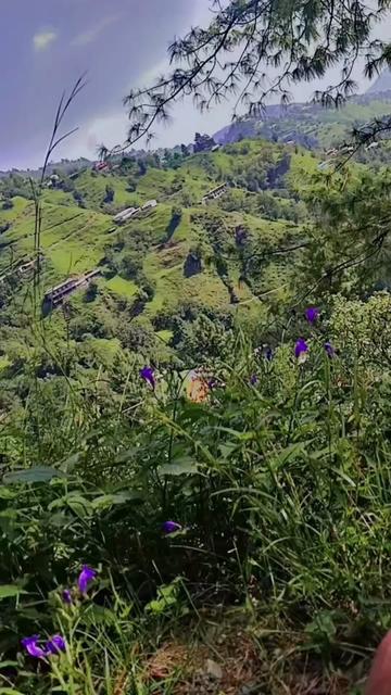 @Shehroz bhandara