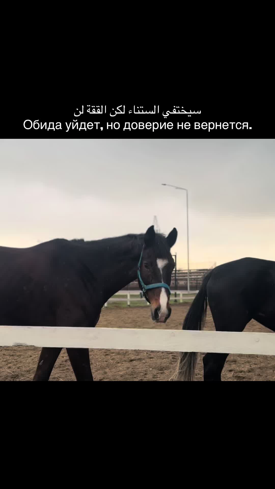 @gsnva