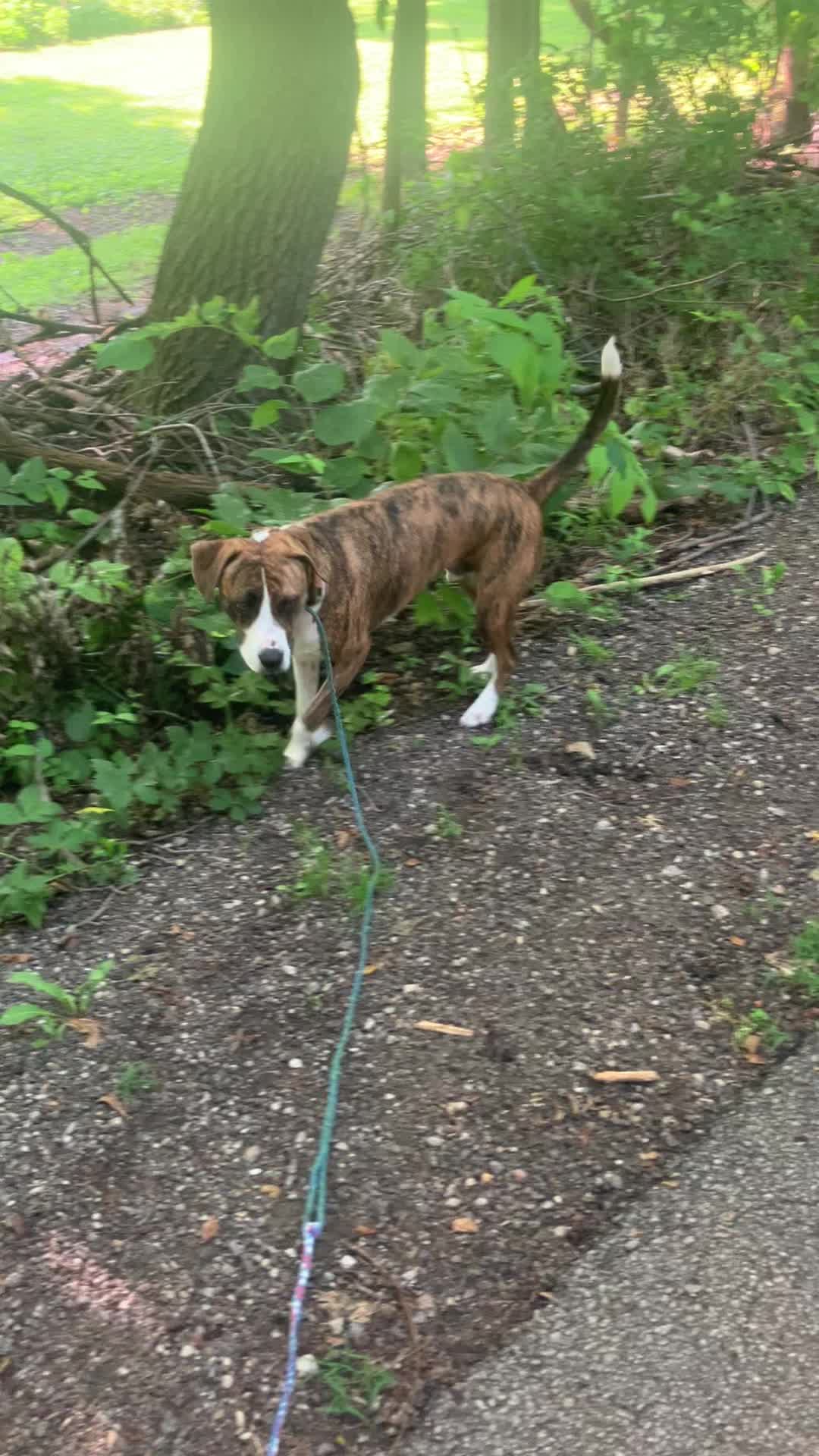 @Hikingwithstanley