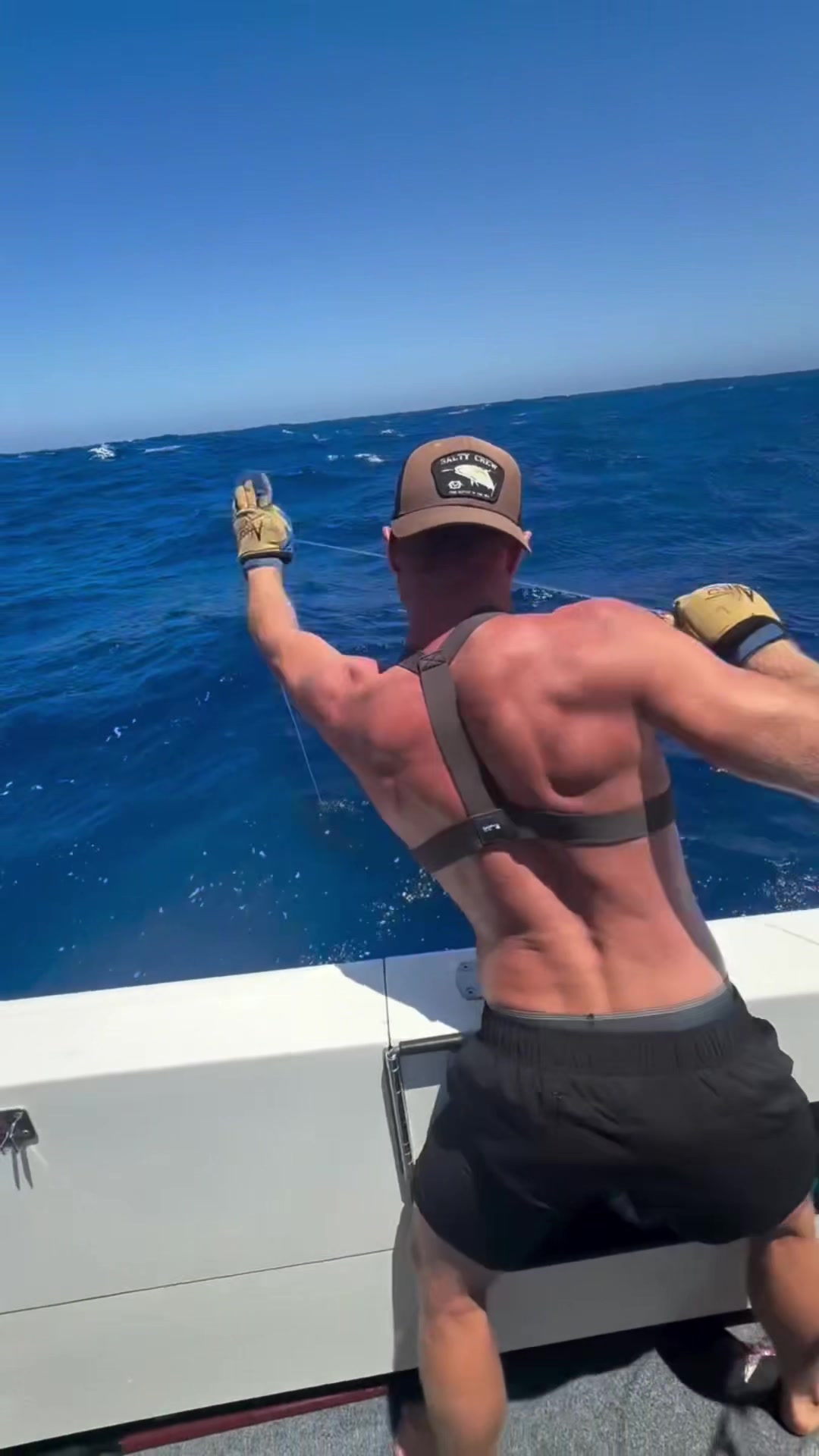 @FishTokDaily