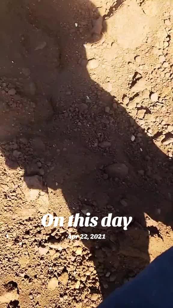 @begayshawn77