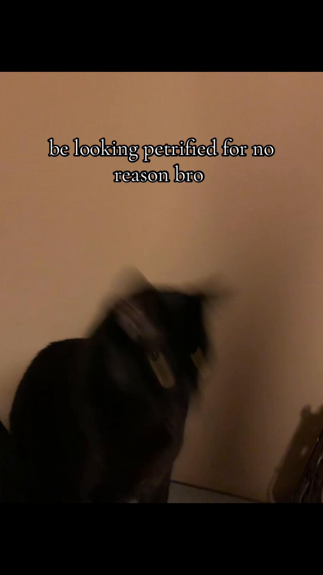 @deathgripzisoffline