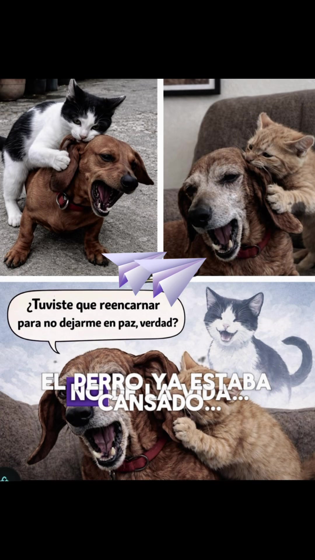 @Hector M Solorzano