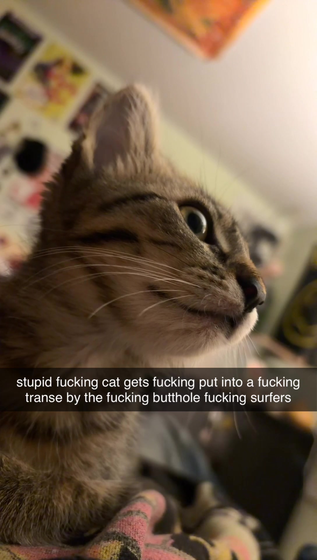 @Haipatitis B