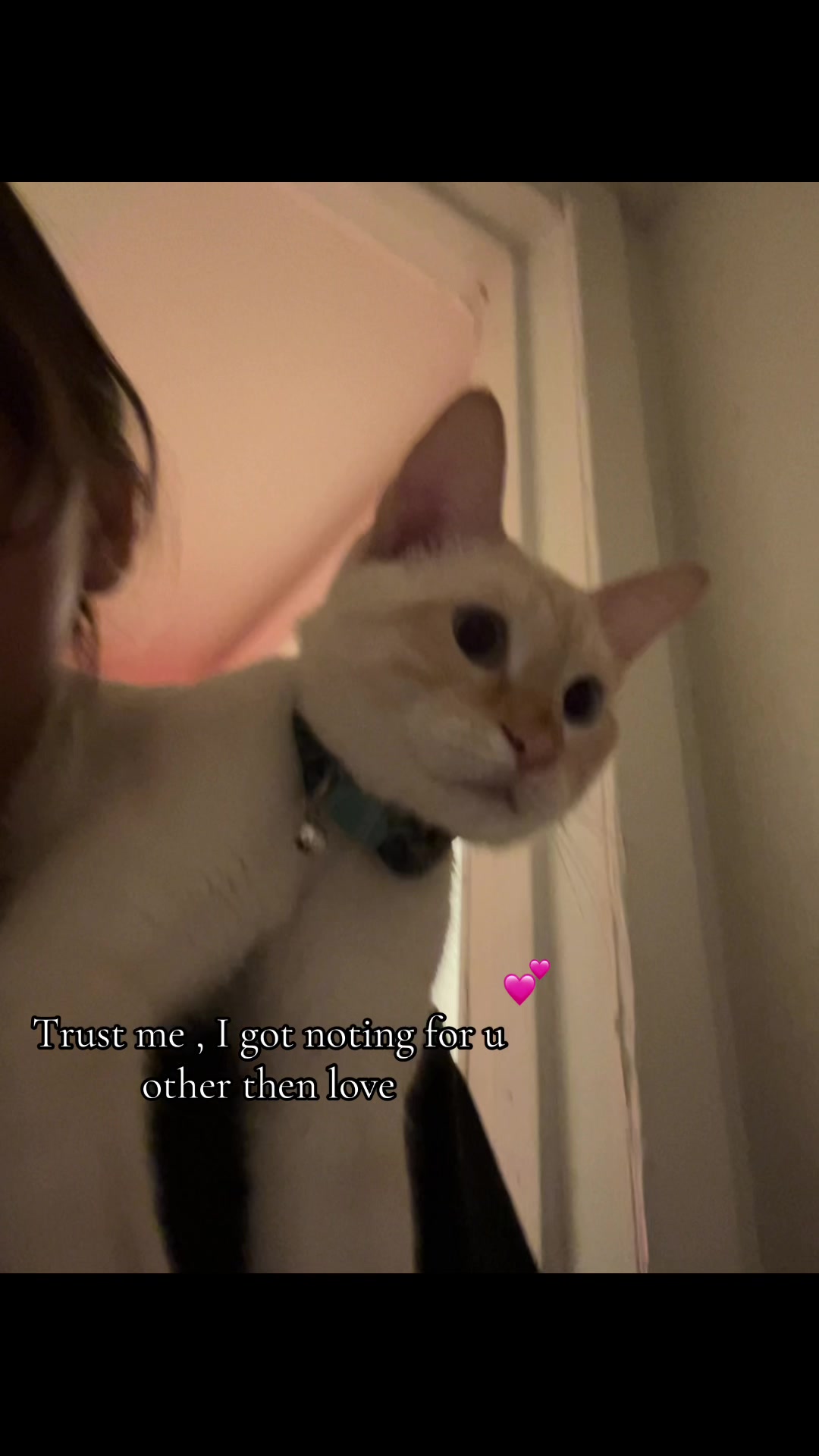 @.💕