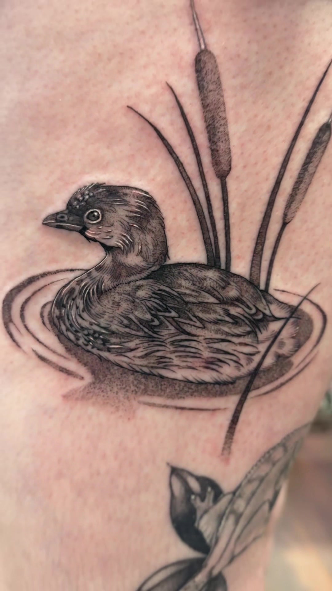 @Maken.ink