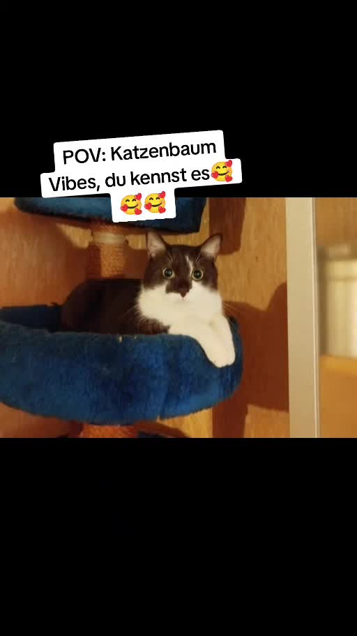 @KaR!zMa❤️🫶❤️🤭