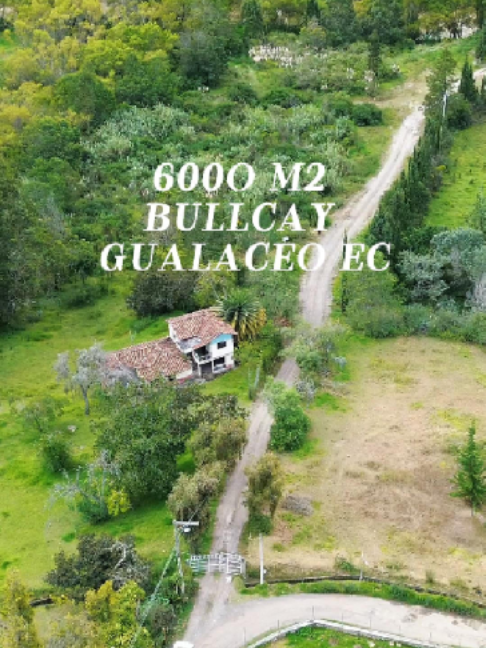 @Maurat Real Estate