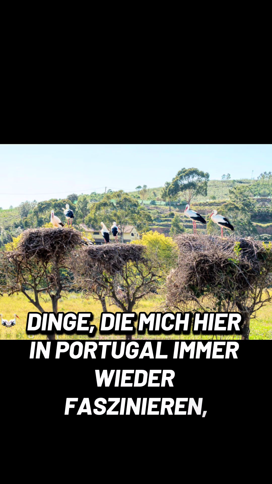 @1neuesleben