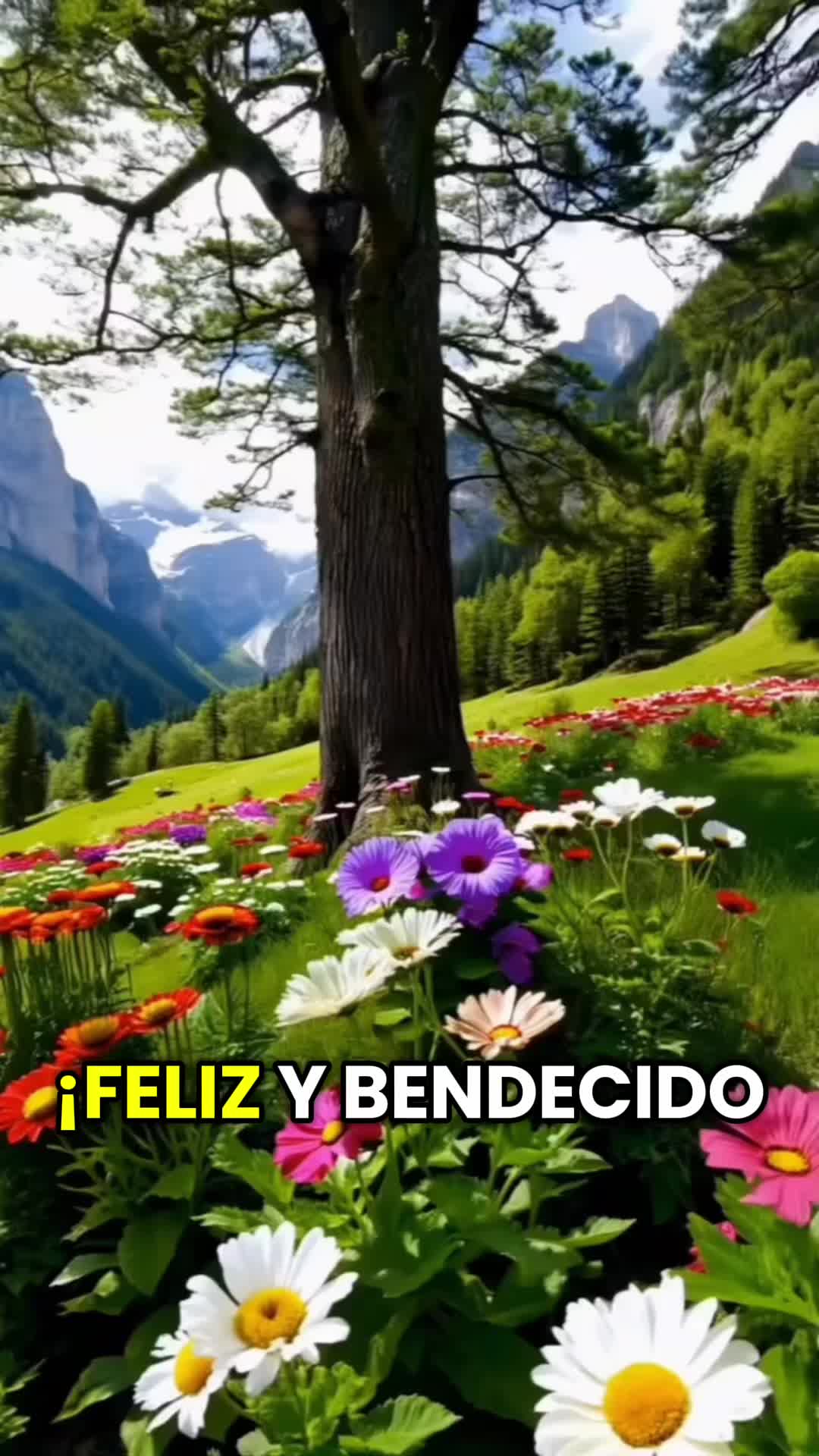 @Lily