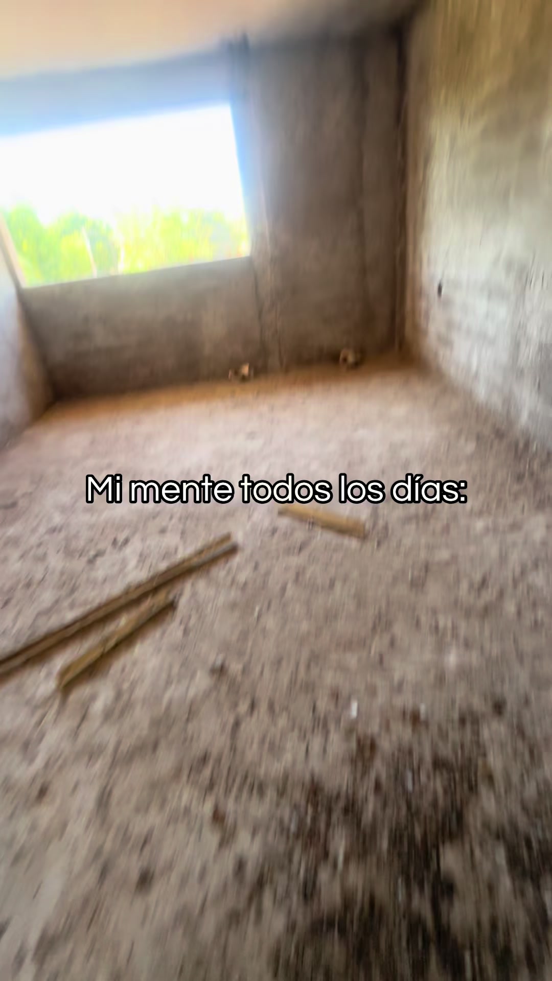 @Alondra González