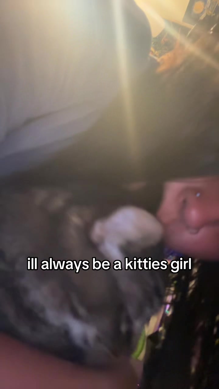 @allycat🐈⬛