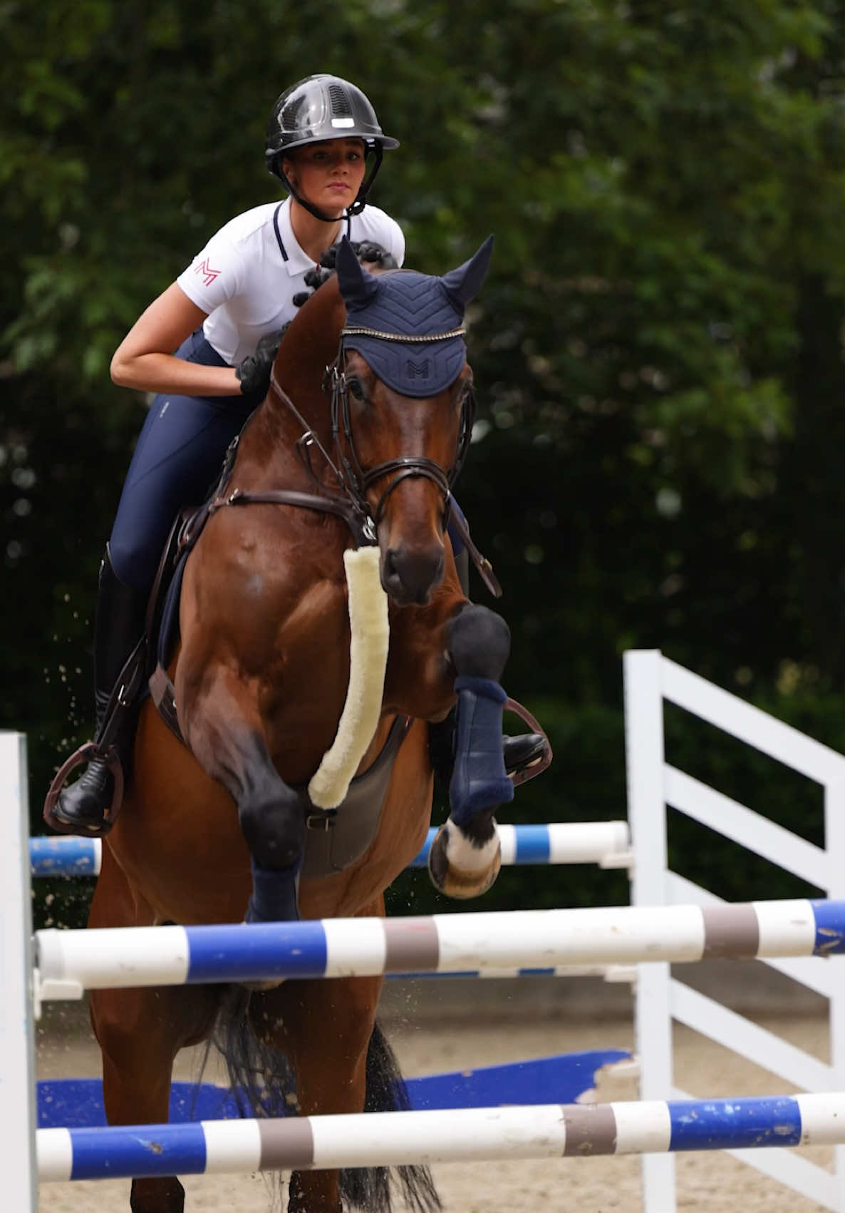 @Maximilian Equestrian