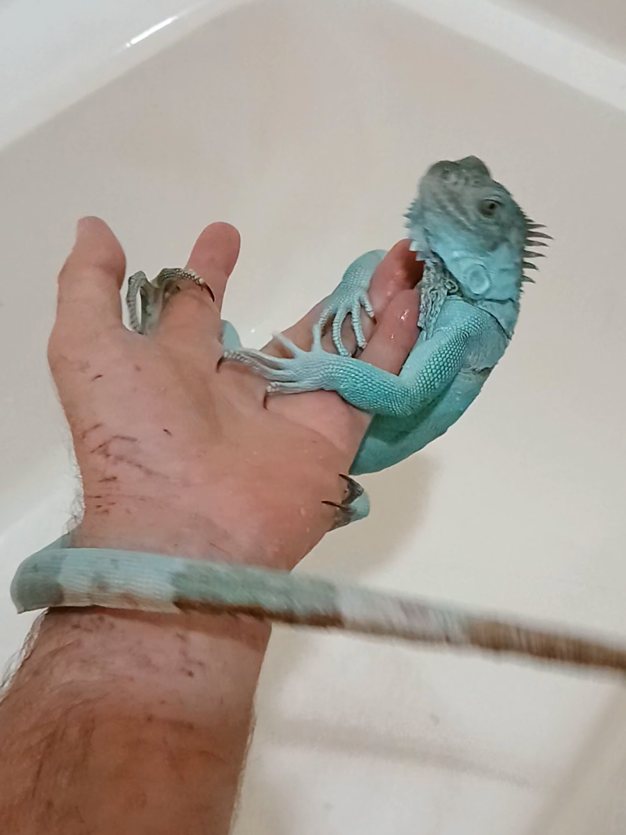 @Jimmy4 🦖