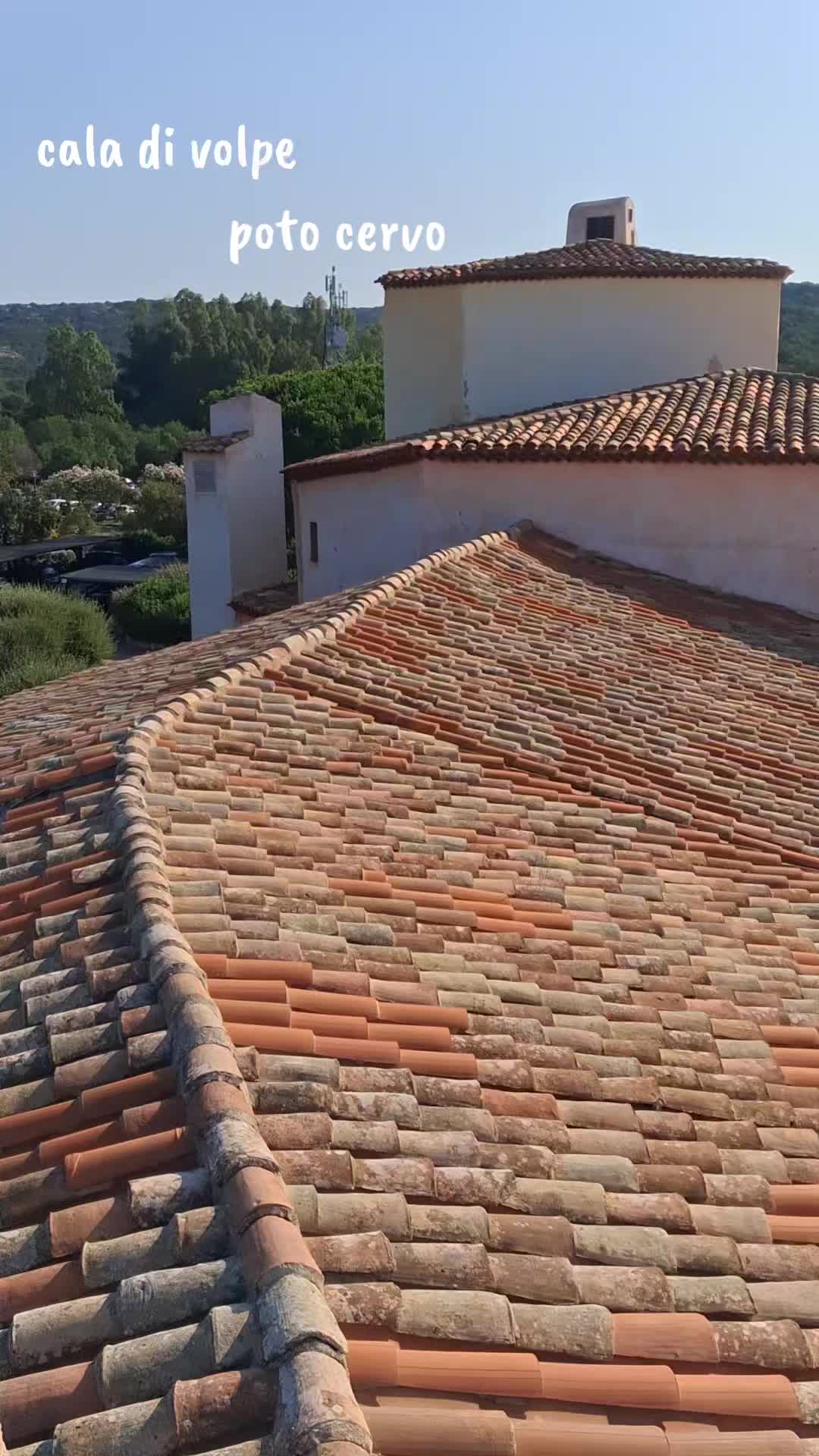 @Franziscu82
