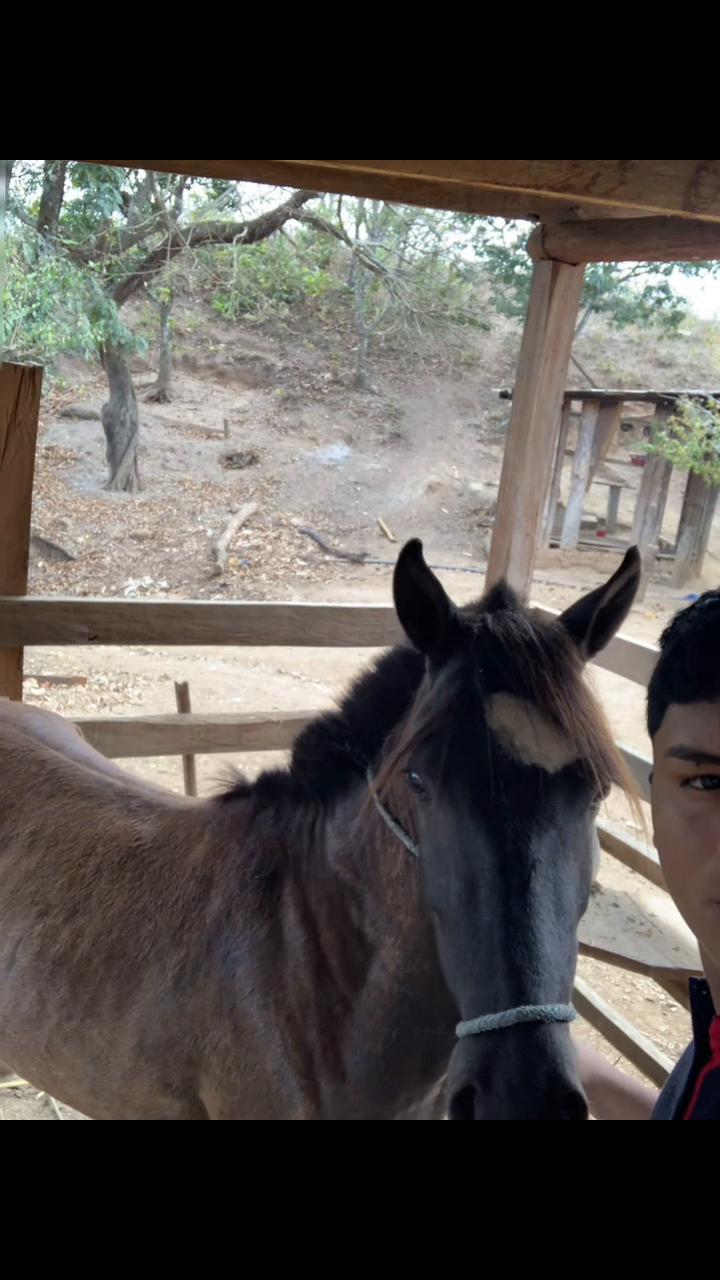 @Maykel ๐ฐ