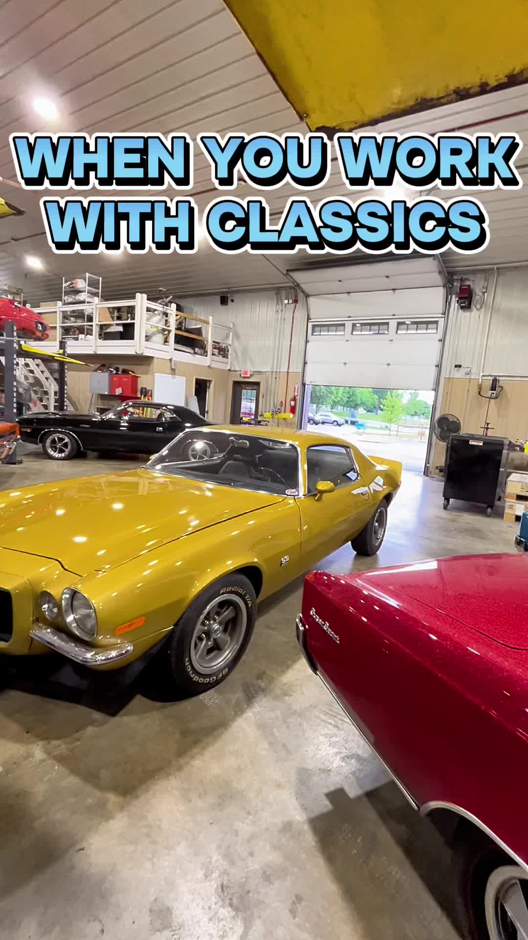 @Marco Mortadella