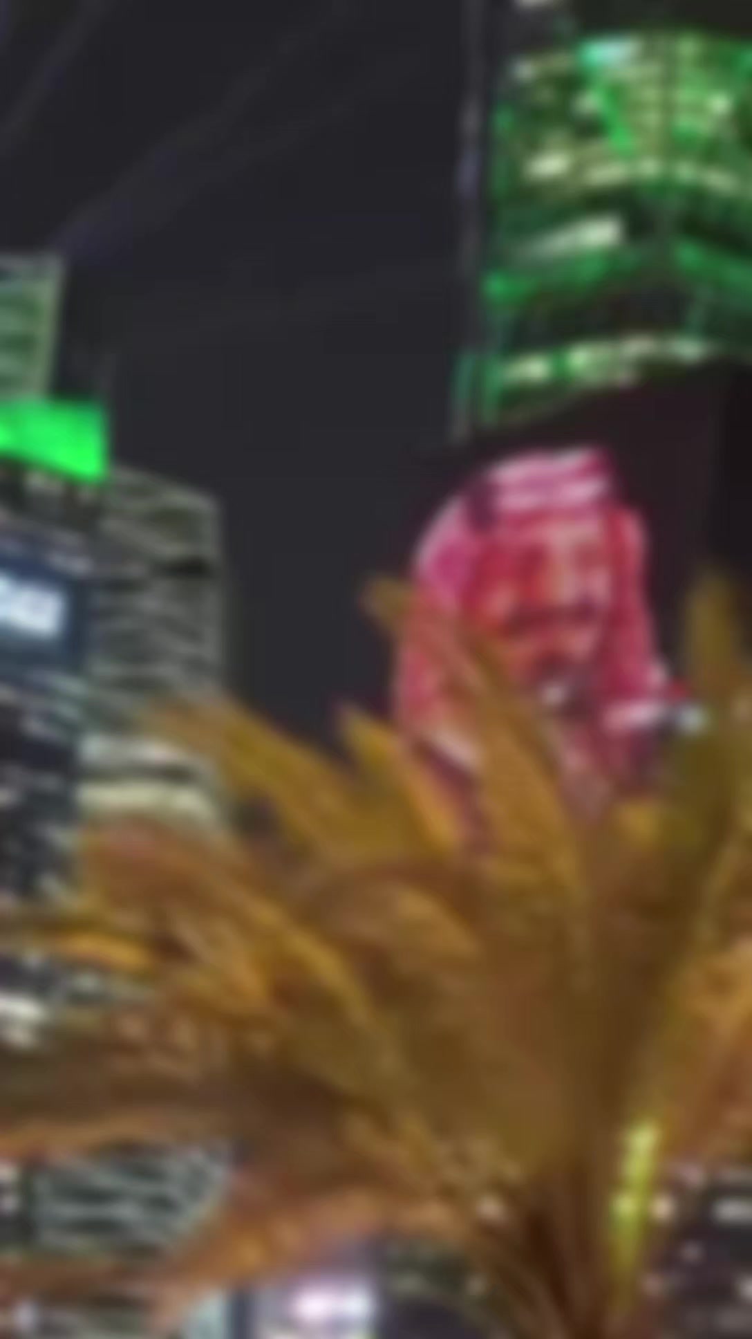 @Aʟᴏɴᴇ 𓆩🕊️𓆪 Wɪᴛʜ Aʟʟᴀʜ