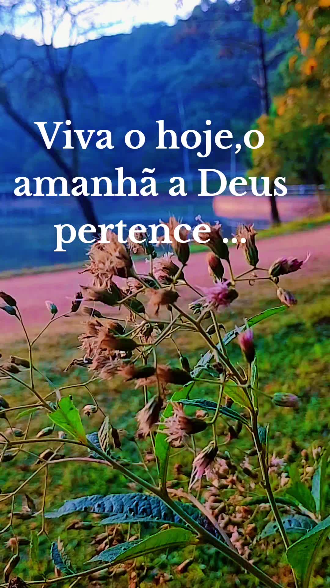 @Sonia cordeiro