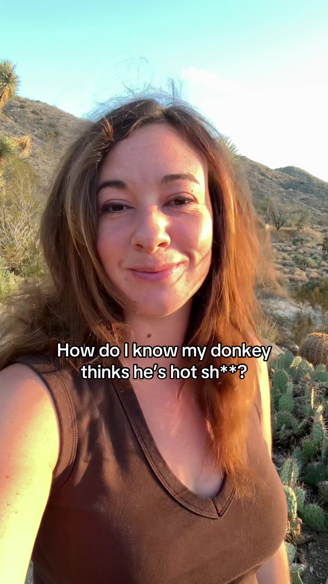 @mojaveminidonkeys