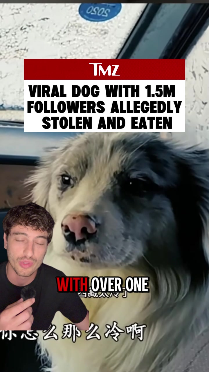 @TMZ