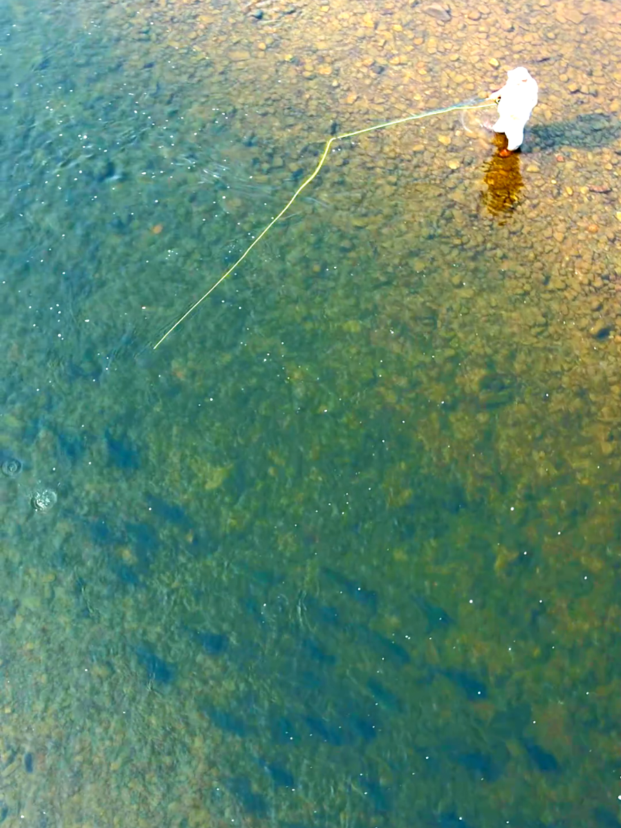 @the360angler