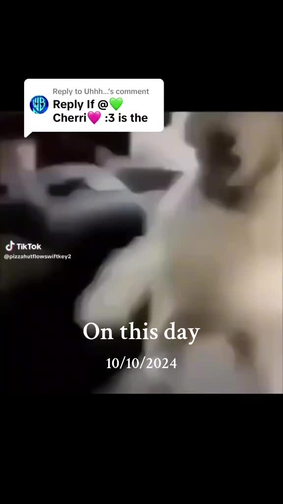 @crusherk0re