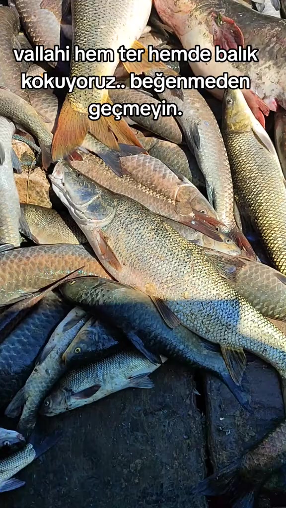 @⚓🐟🐟RECEP_REİS_02🐟🐟⚓