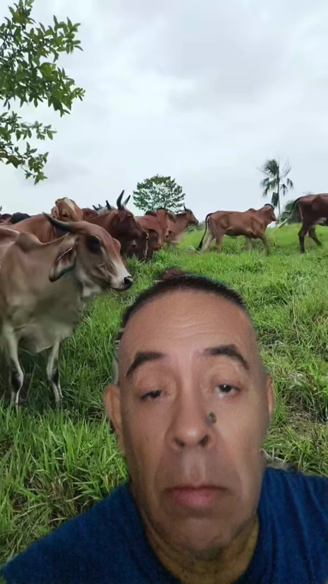 @guillermoanzaldo77