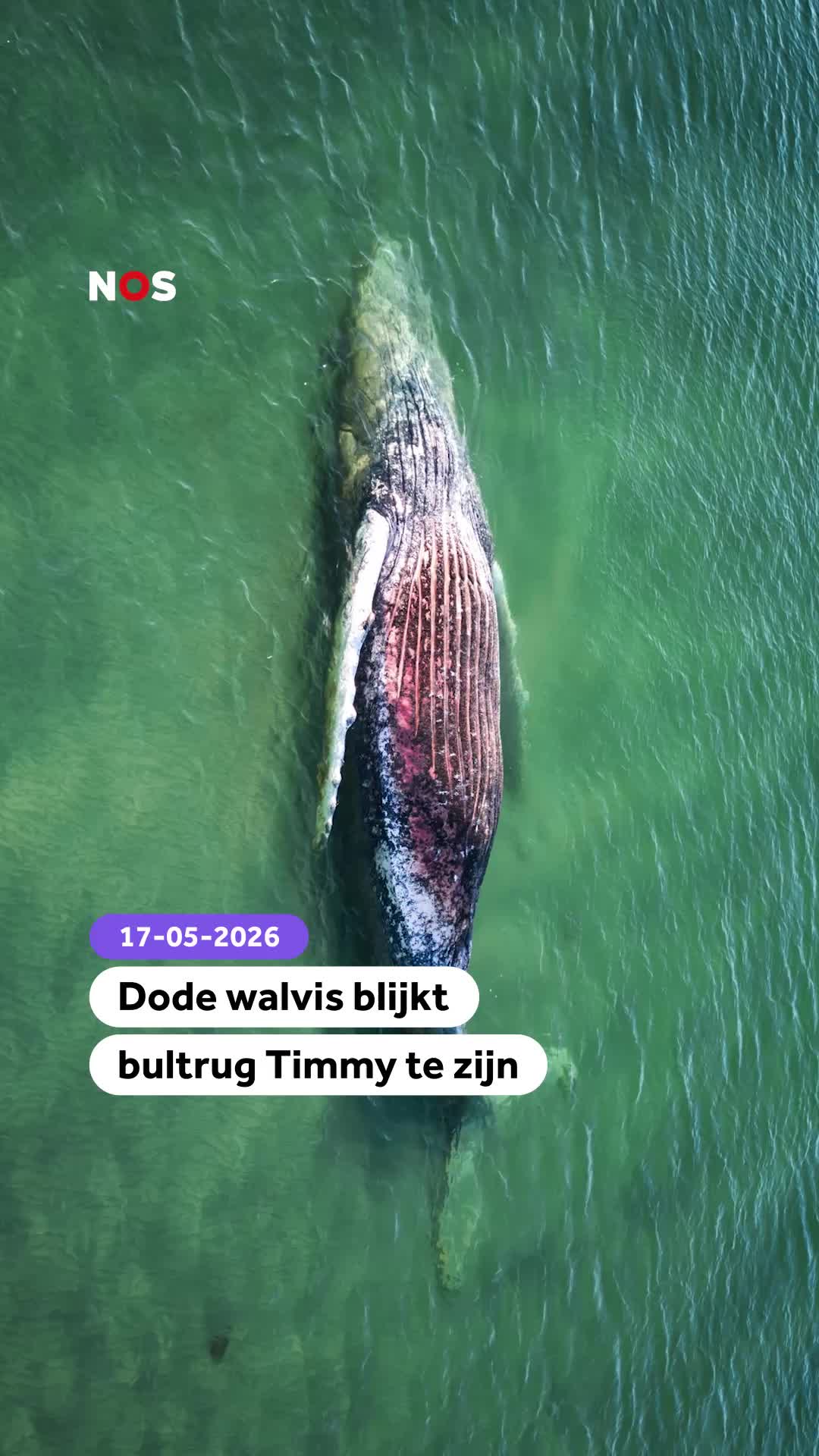 @NOS Stories