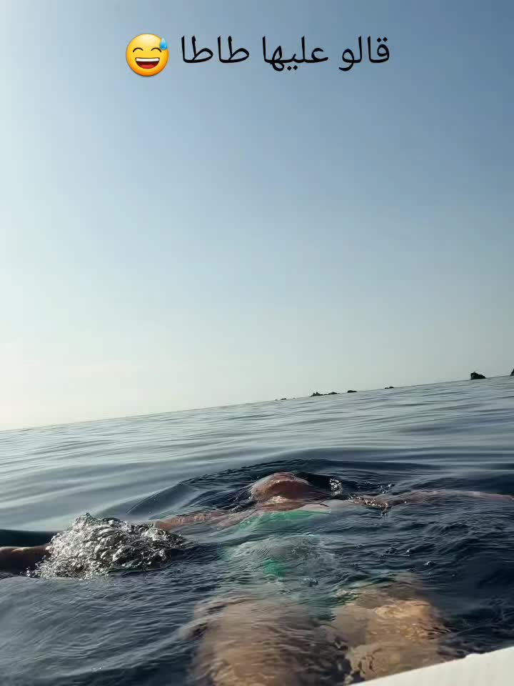 @EL MOUHADJIR DZ 🇩🇿🇫🇷