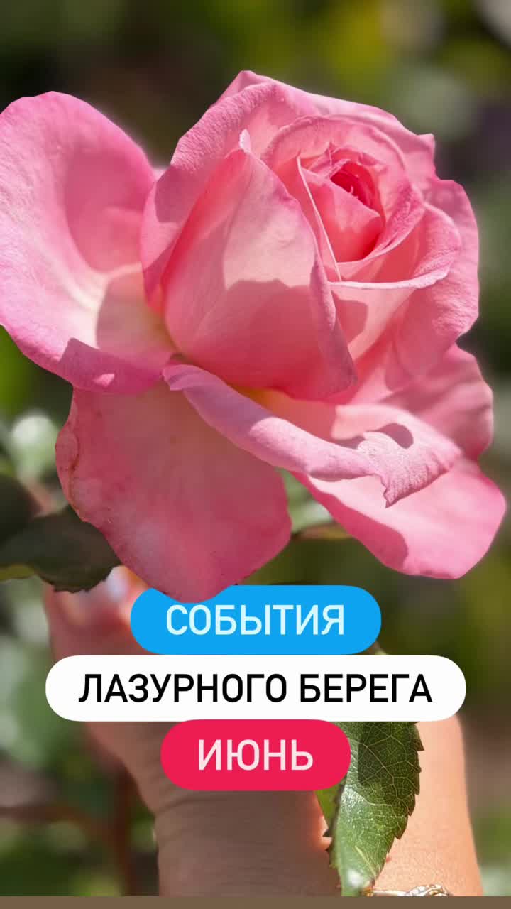 @Анна-гид Ницца🔹Монако🔹Канны