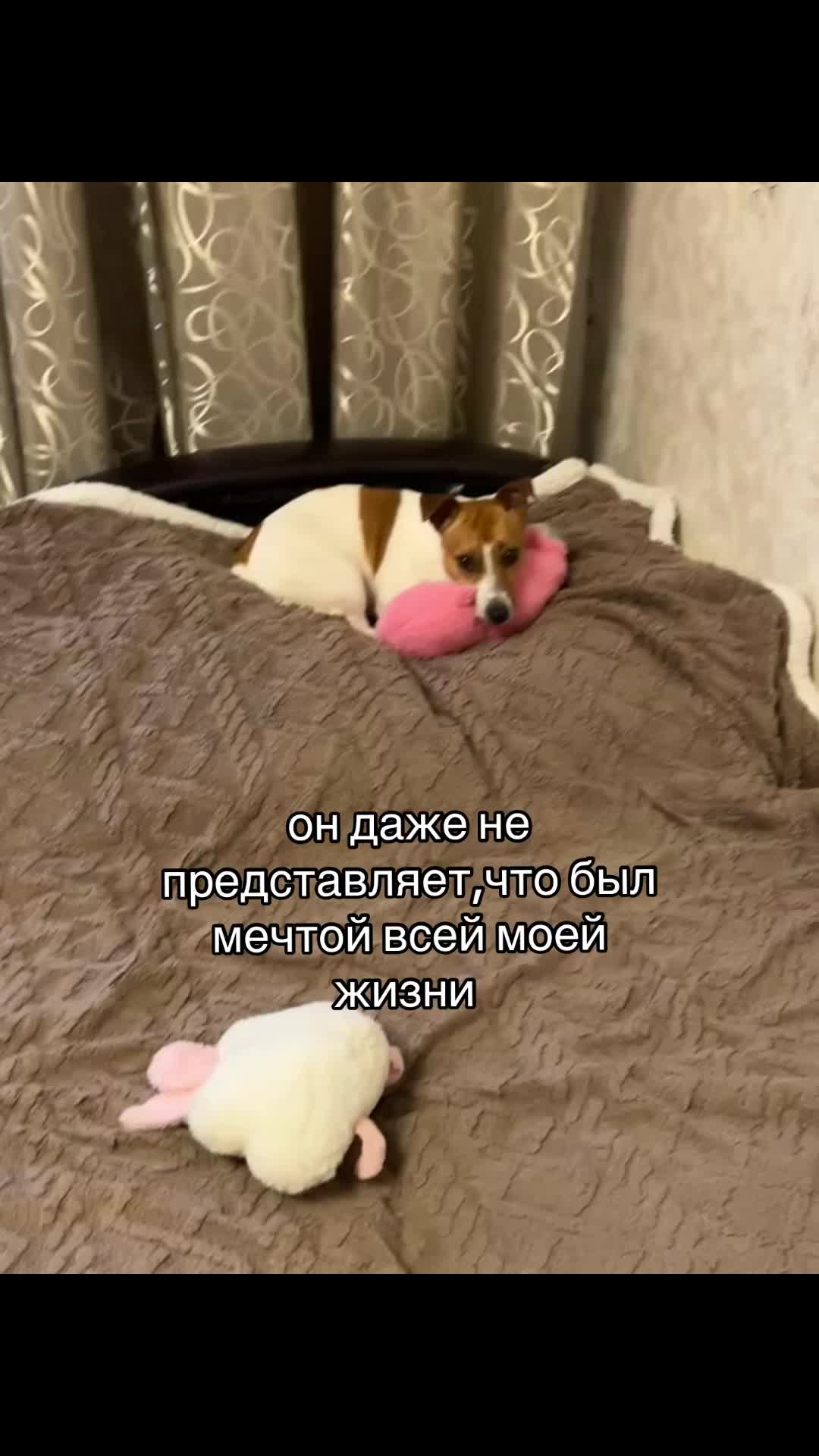 @Kayaal🦦