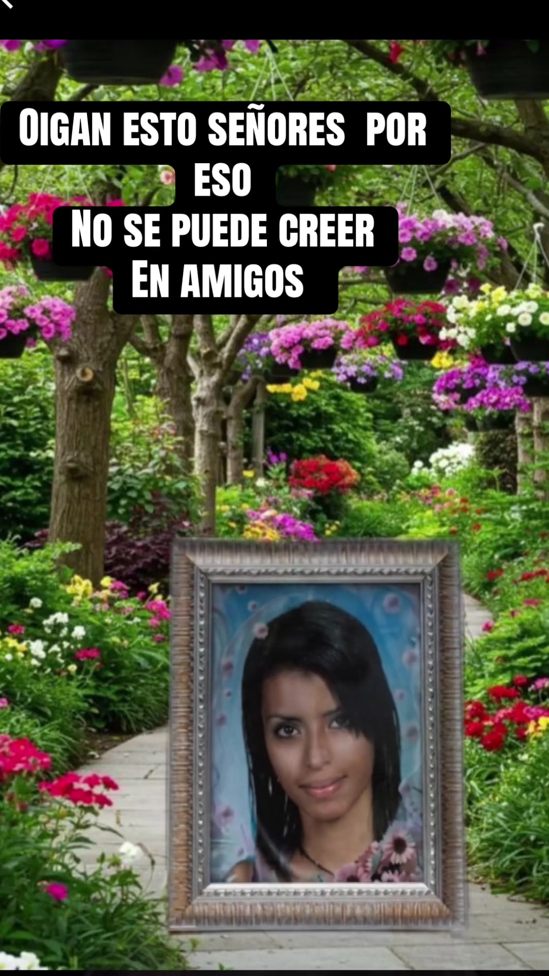 @Andreatodoloquebusca🛍️