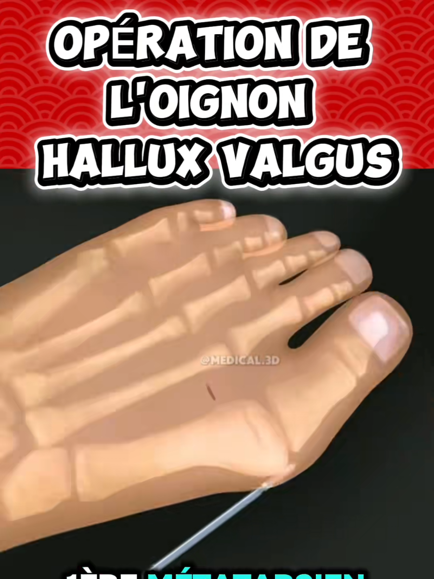 @Docteur Shepherd