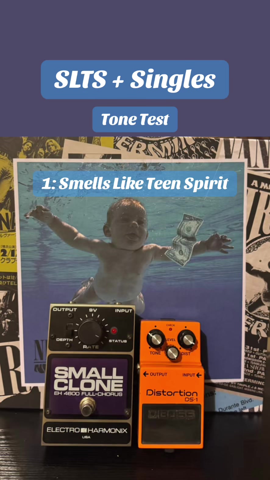 @twin_reverb_