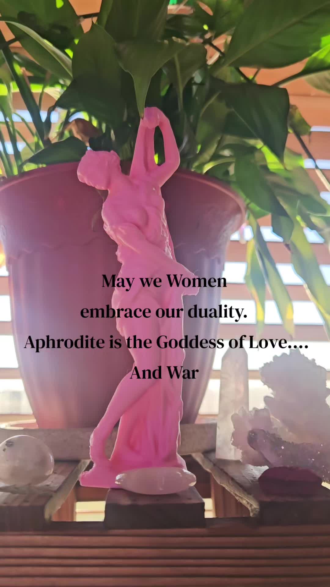 @StarDustWitch444