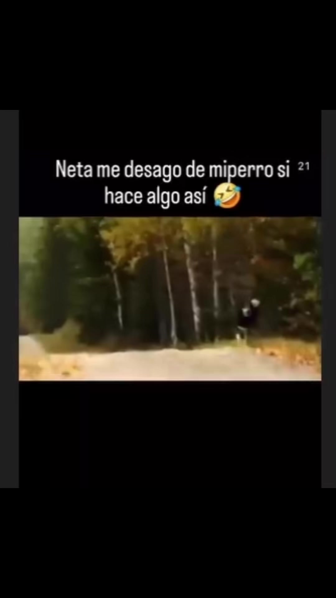 @Puras risas 😂