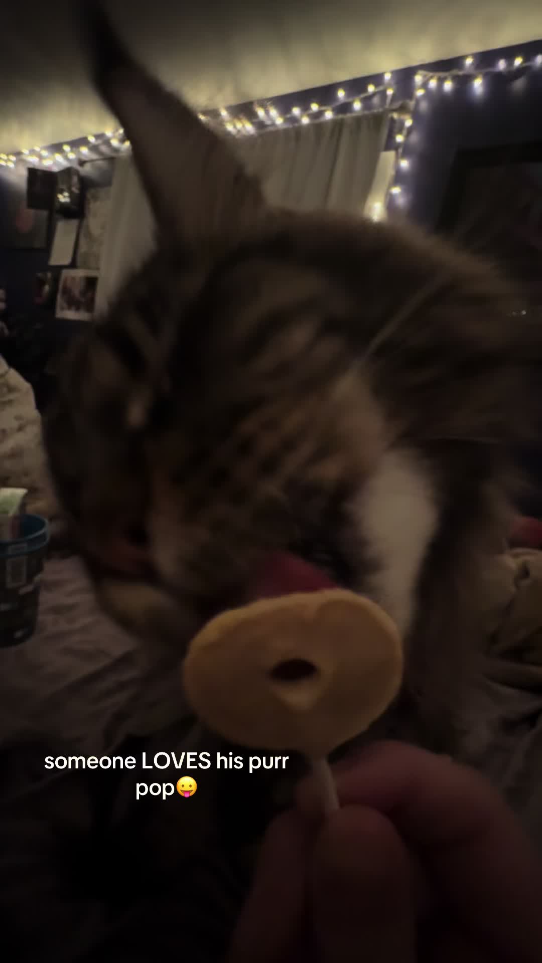 @maryyy🍄🧚🌙🐈⬛