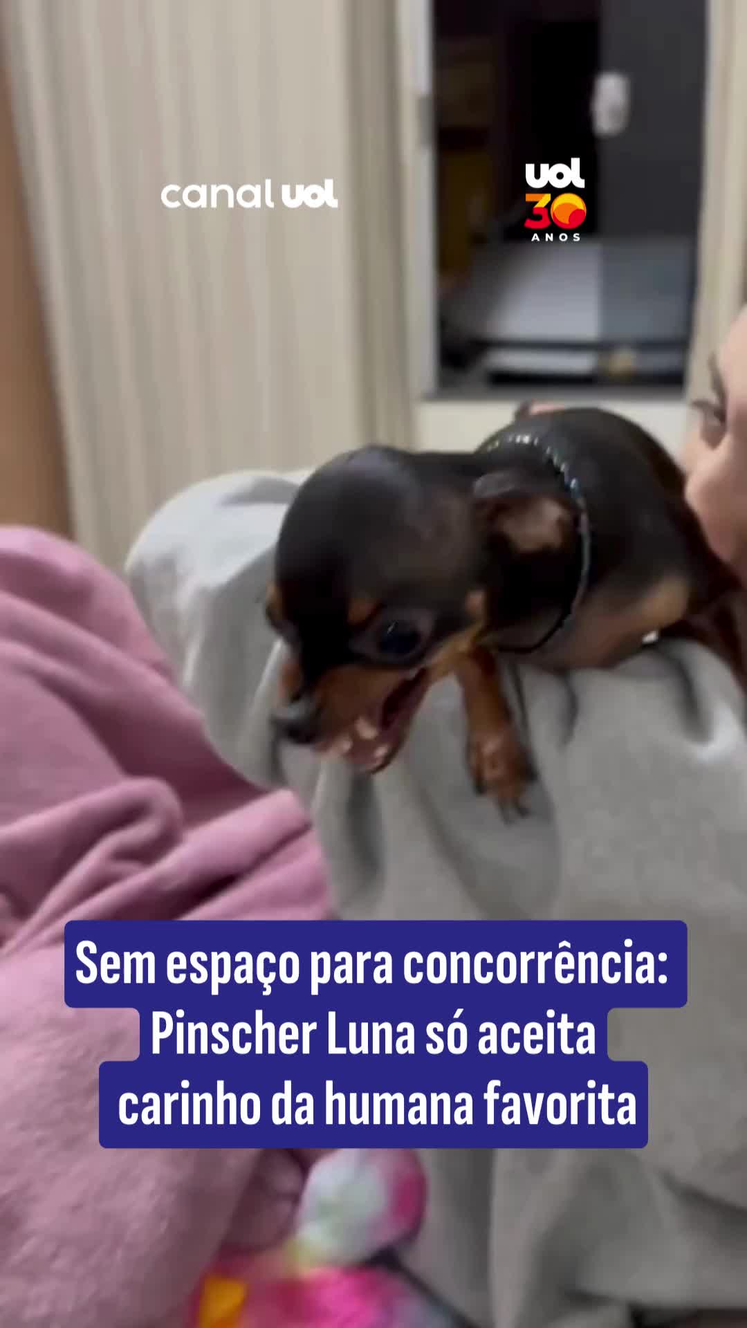 @uol