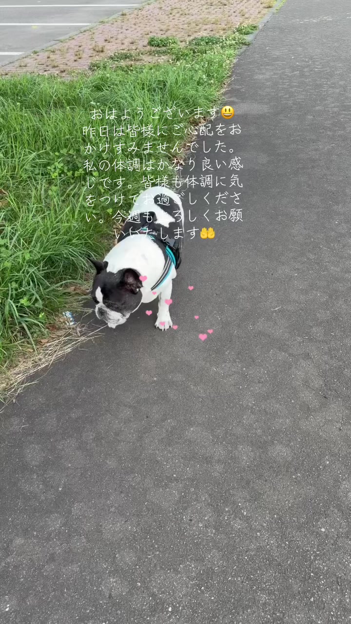@taka1964