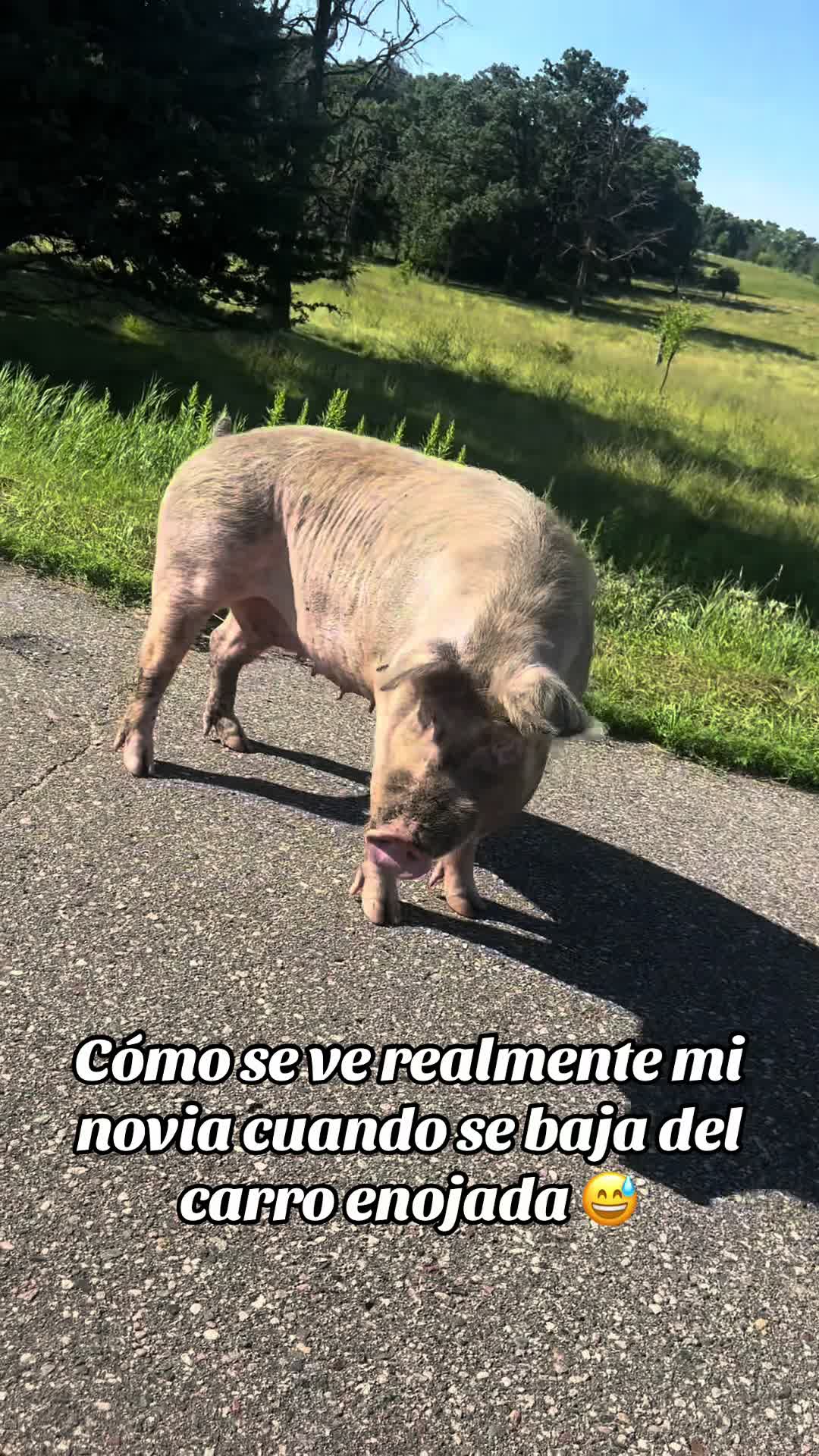 @Jose valenzuela