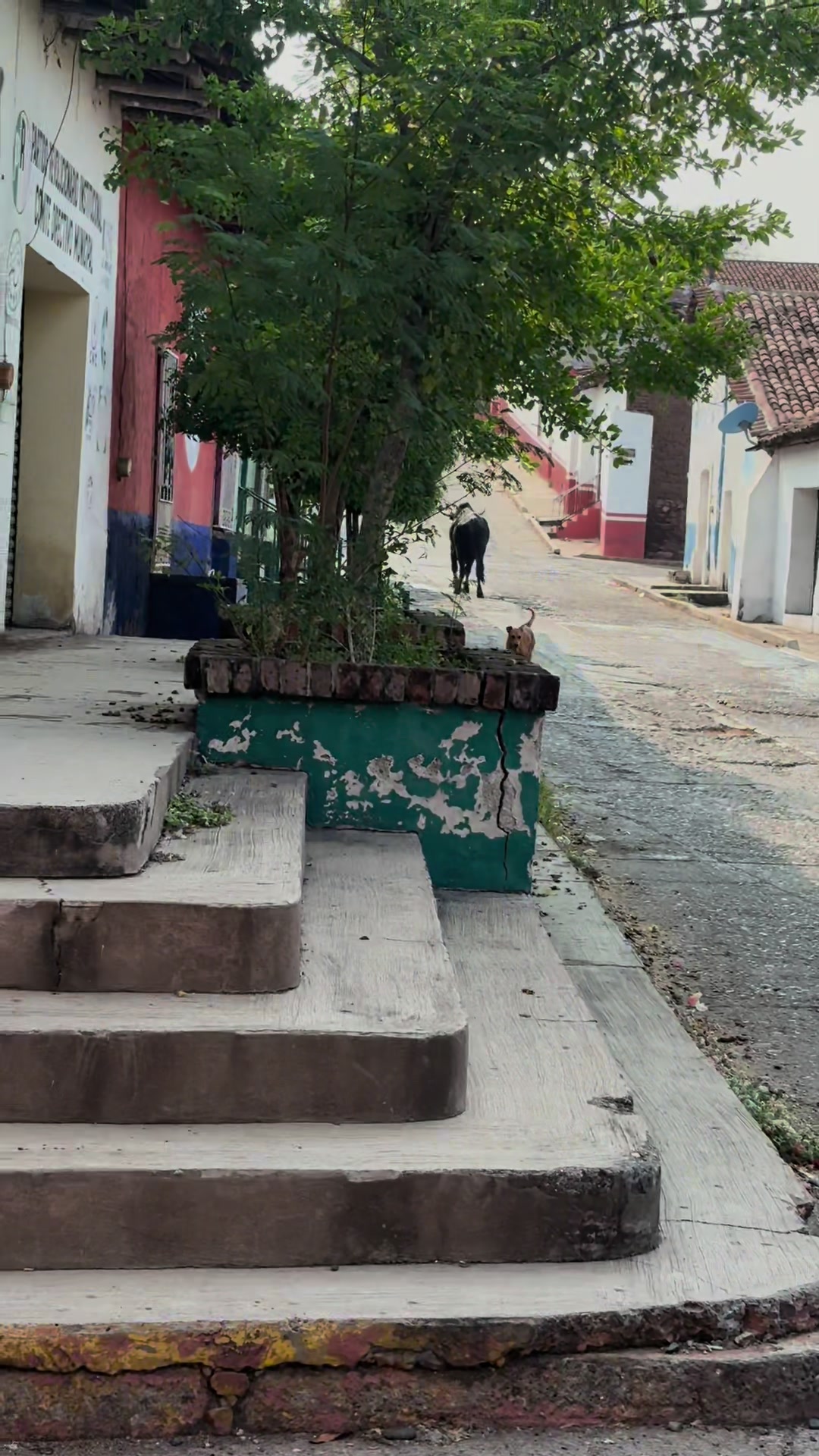 @Gloria Molina
