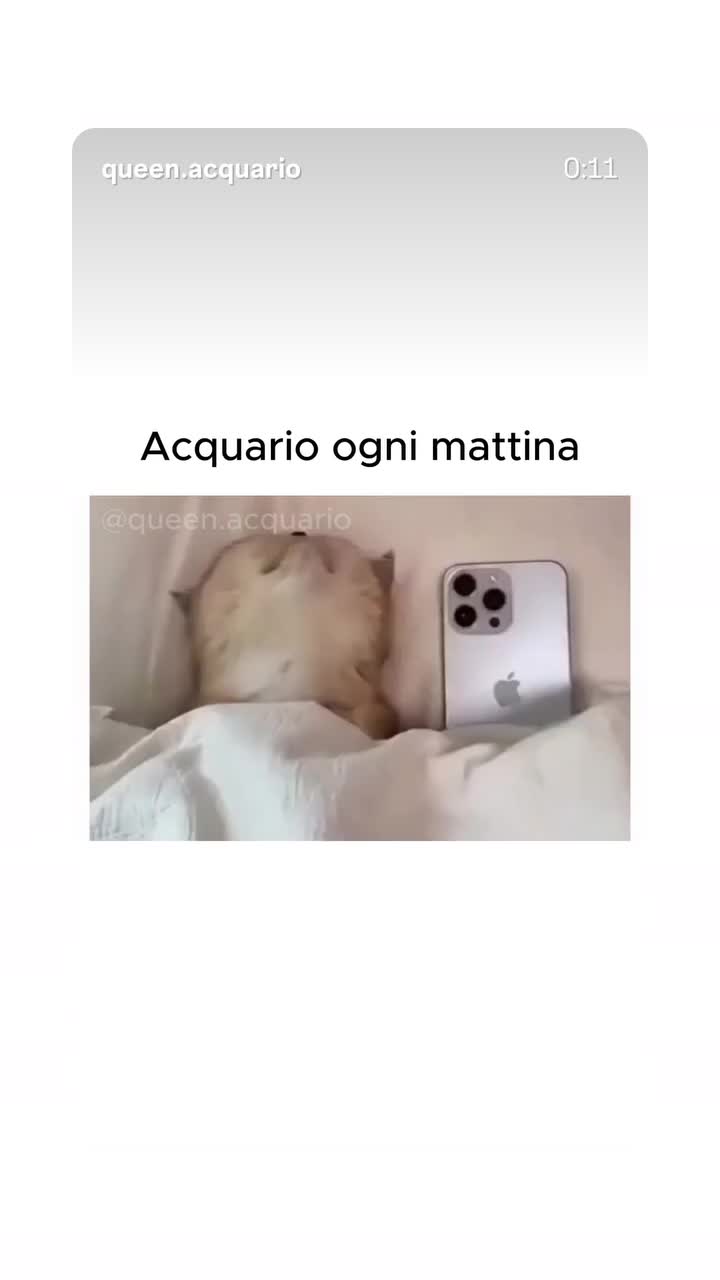 @NEFERTITI