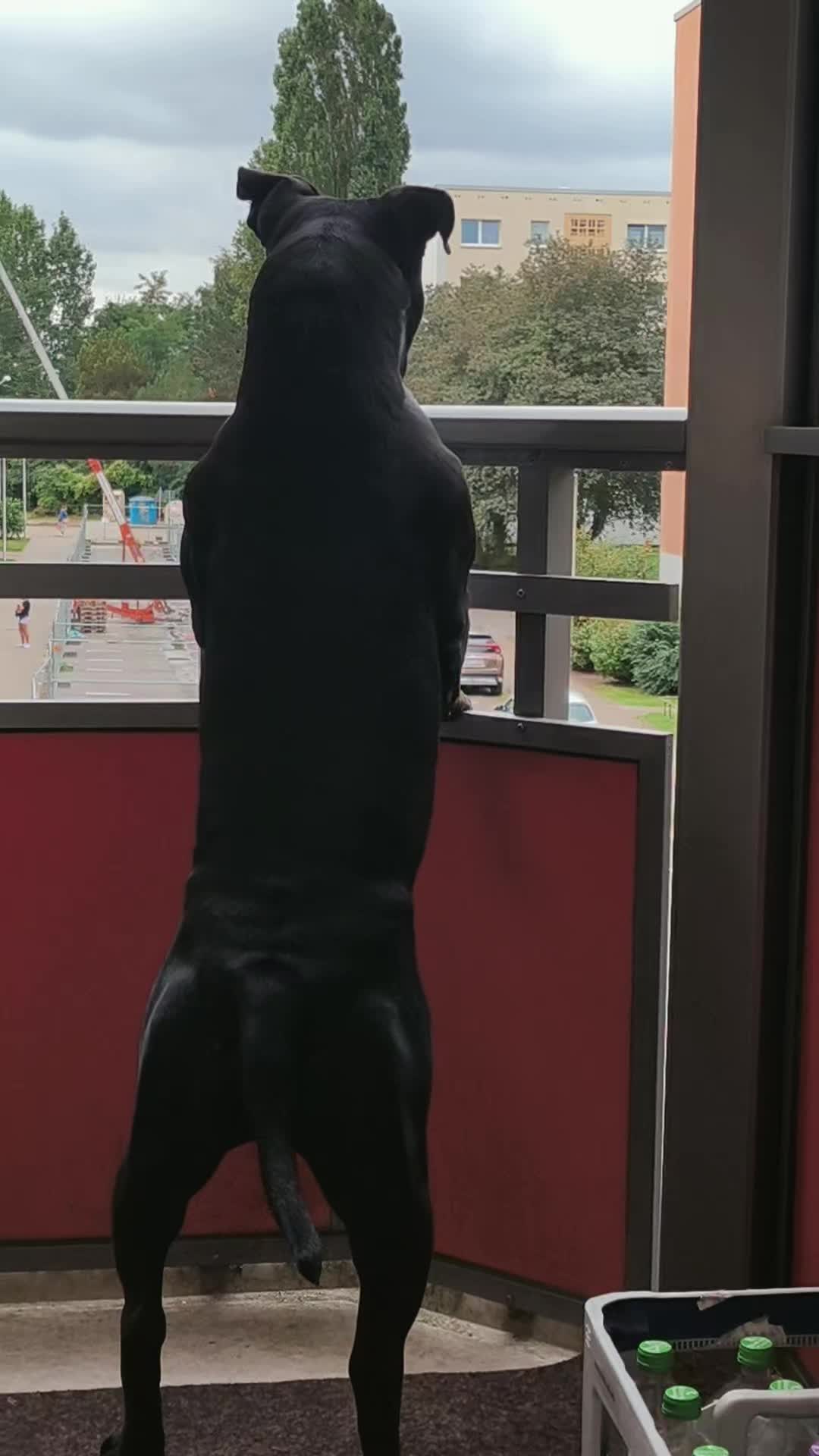 @♈𝑴𝒂𝒕𝒛𝒊𝑴𝒂𝒕𝒛𝒆♈