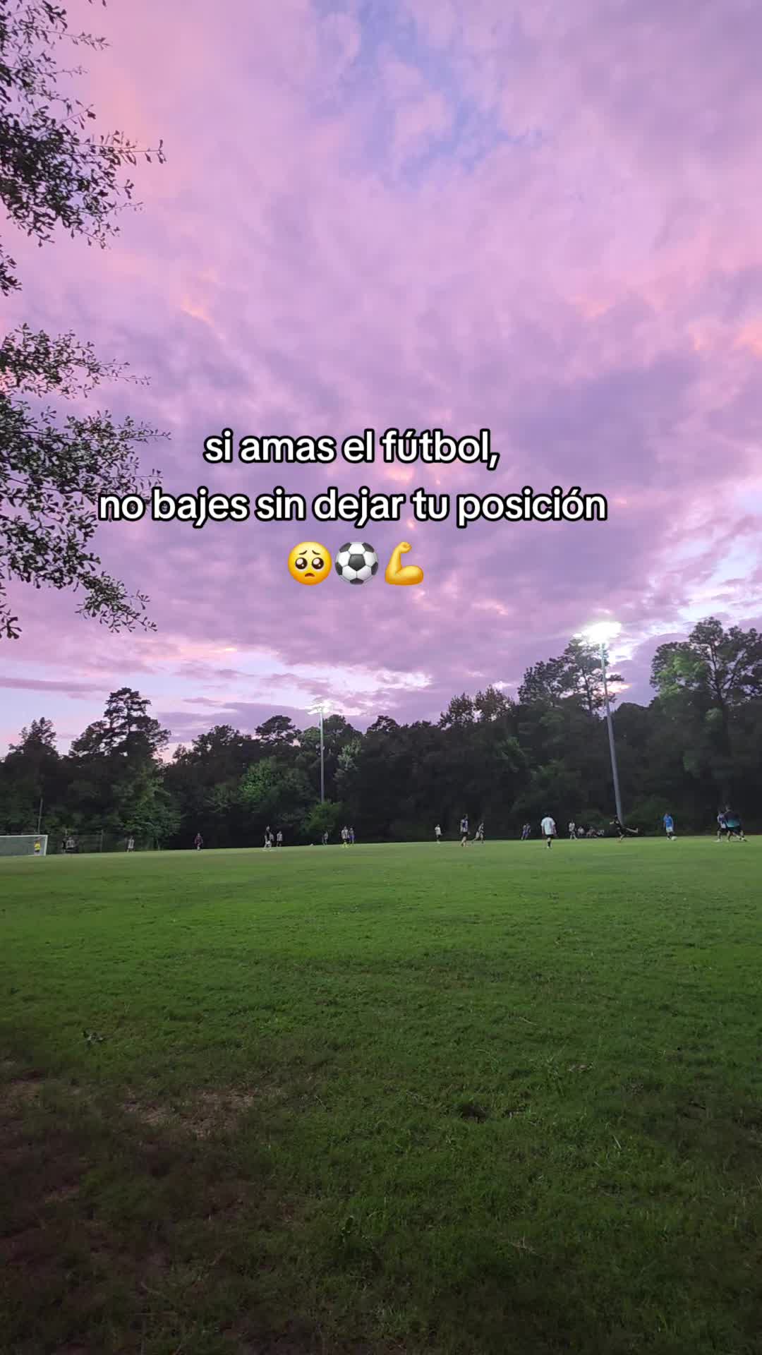 @Juan Abraham