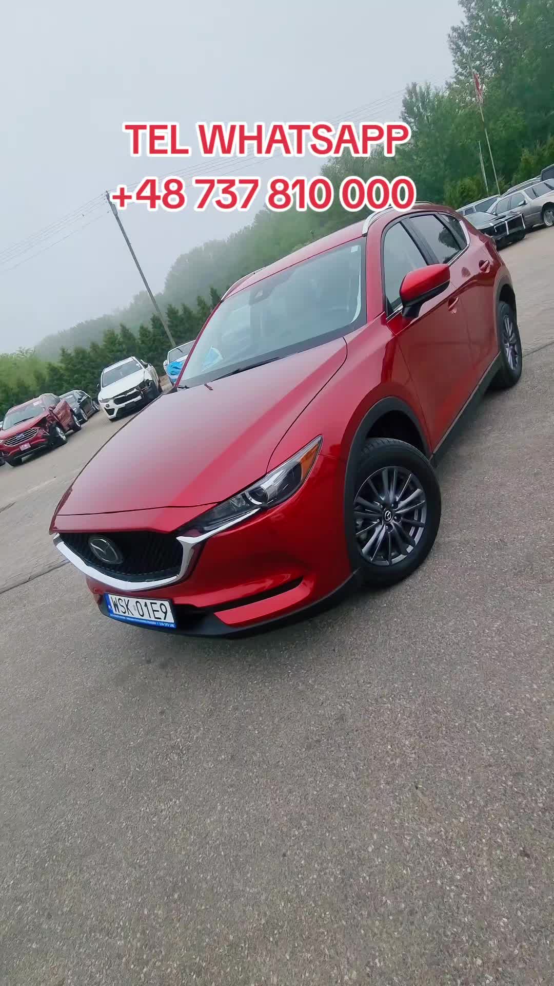 @Marcinzmotoleader